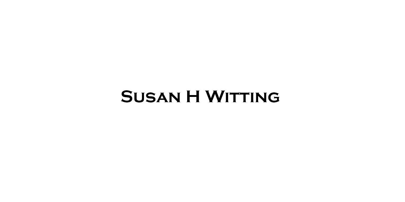 Susan H Witting