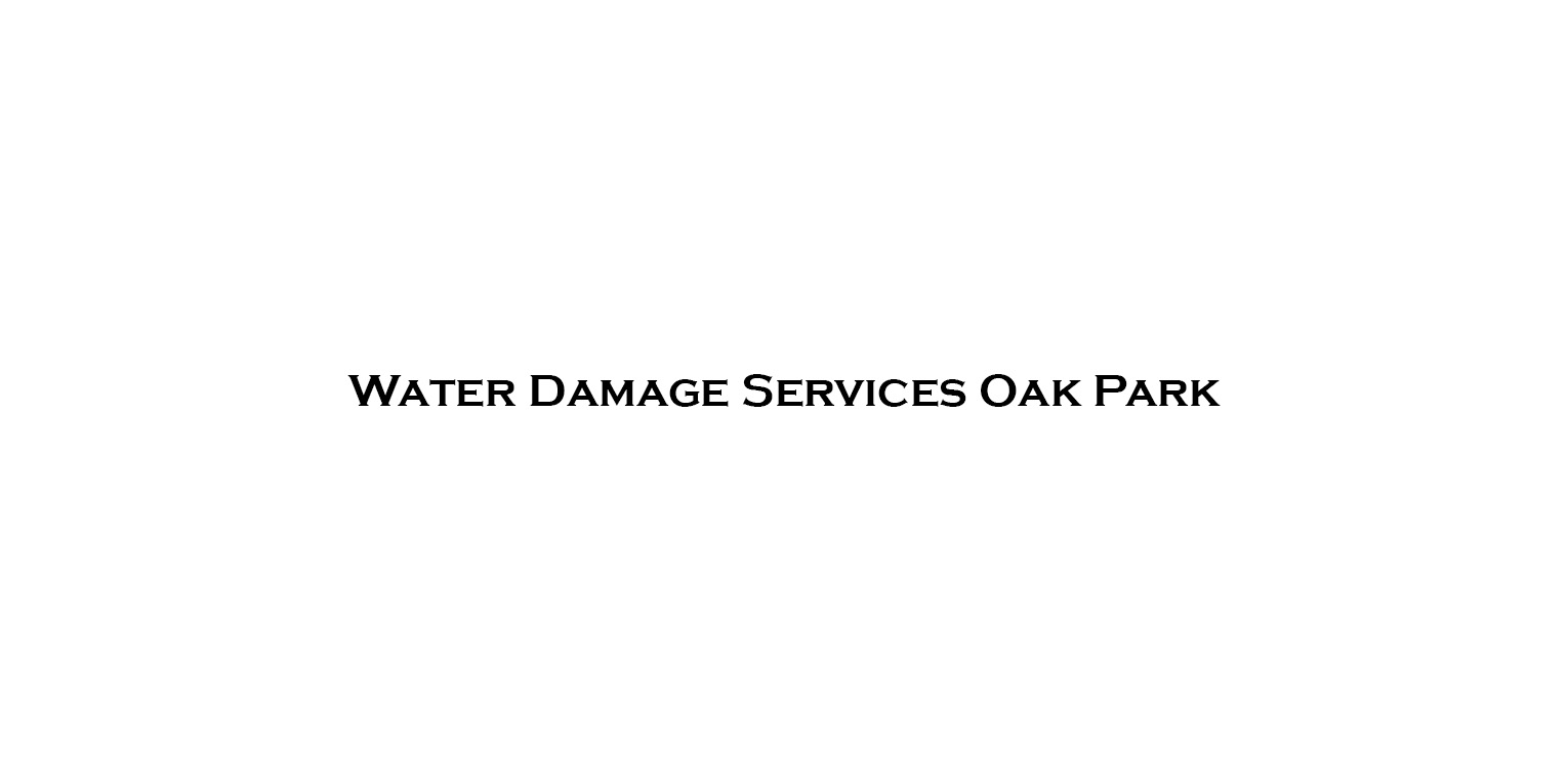 Water Damage Services Oak Park